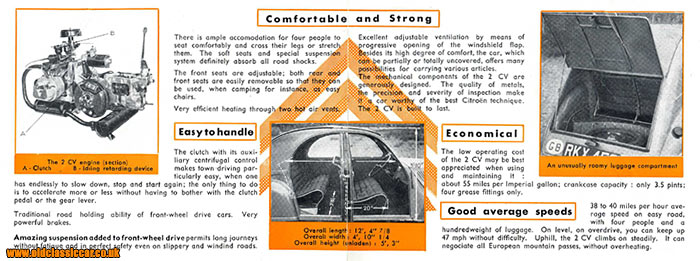 View topic - Our 1967 Splitscreen Hoodride "Tiki" 11 Window Bus