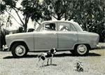 Austin car and the faithful hound