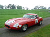 Jaguar E-Type at Cholmondeley 2009