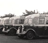 Dodge Kew coaches from 1939