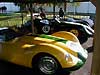 Lister Jag and other 1950s sports cars