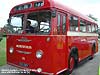 Albion  bus photograph