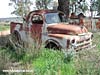 Dodge  Ute photograph