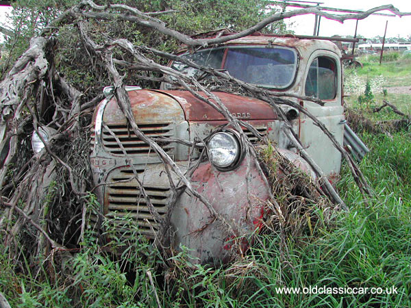 Job Rated truck built by Dodge