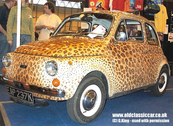 Fiat 500 picture.