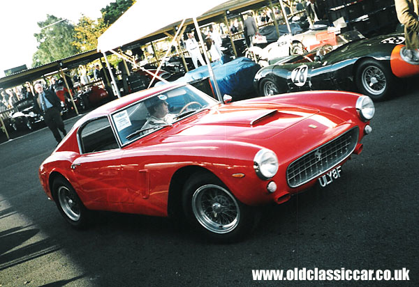 Ferrari 250 GT picture.