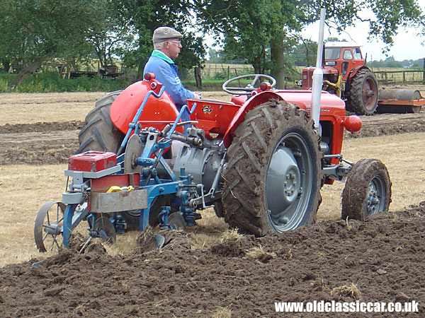 Massey Ferguson 35 Tractor picture.