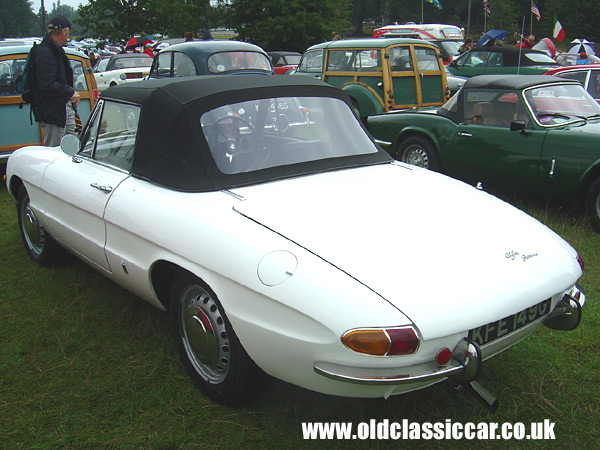 Old Alfa Romeo Junior Spider at oldclassiccar.