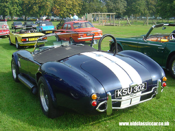 AC Cobra replica seen at Cholmondeley Castle show in 2005.