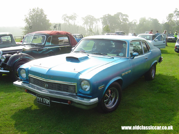 Buick Apollo seen at Cholmondeley Castle show in 2005.