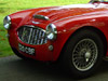 Picture of old Austin  Healey car