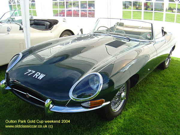 Classic Jaguar E-Type car on this vintage rally