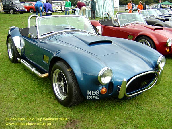 Classic AC Cobra replica car on this vintage rally
