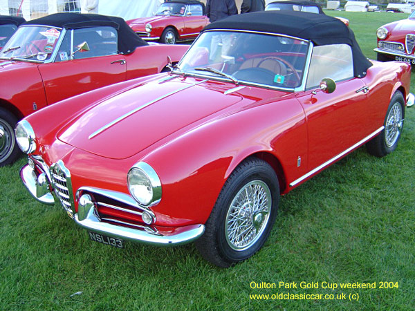 Classic Alfa Romeo Giulia car on this vintage rally