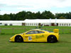 Cholmondeley - Photo #51