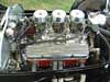 Cholmondeley - Photo #63