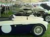 Cholmondeley - Photo #65