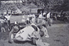 Shelsley Paddock