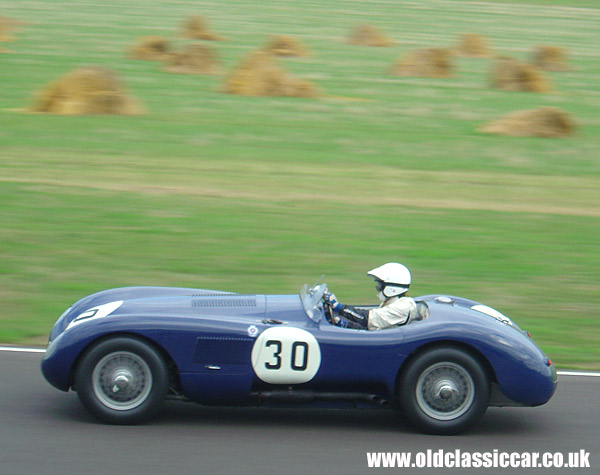 Jaguar C-Type at the Revival Meeting.