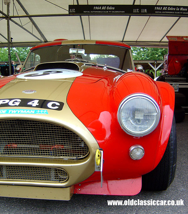 AC Cobra 289 at the Revival Meeting.