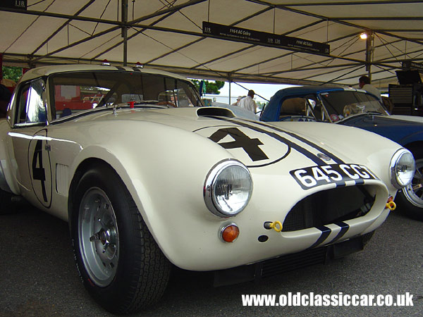 AC Cobra 289 at the Revival Meeting.