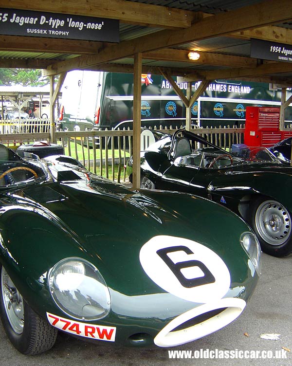 Jaguar D-Type at the Revival Meeting.