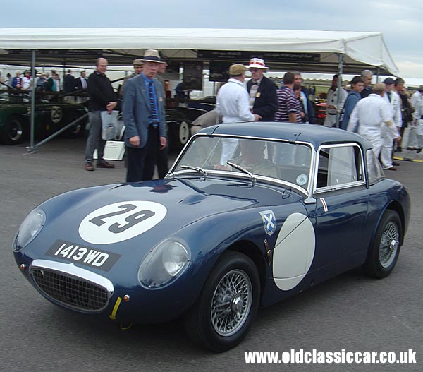 Austin-Healey Sebring Sprite at the Revival Meeting.