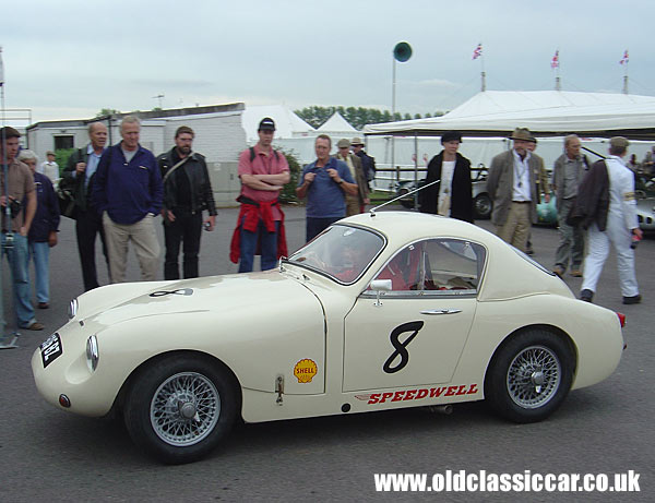 Austin-Healey Speedwell Sprite at the Revival Meeting.
