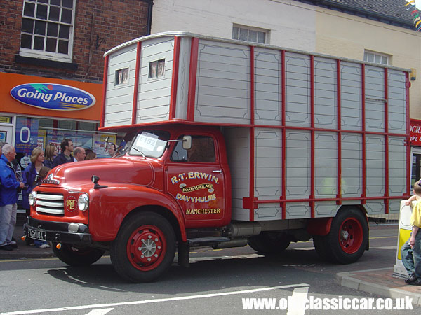 Picture of Bedford D3 Horsebox