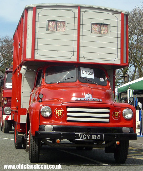 Picture of Bedford D3 Horsebox