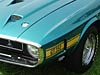 1960s Shelby GT350 thumbnail.