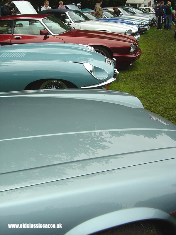 Jaguar XJS that I saw at Tatton in June 05.