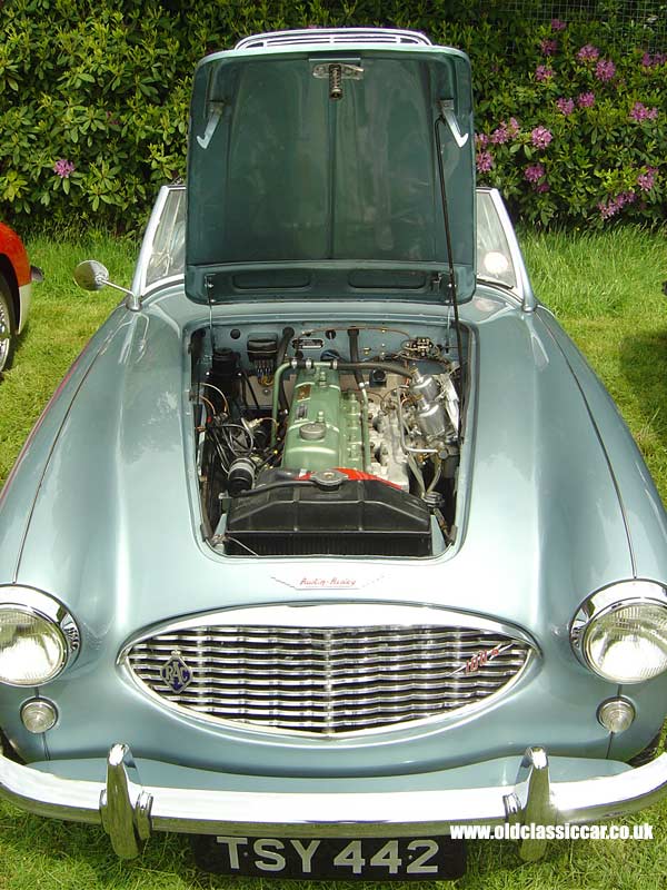 Austin-Healey 100 that I saw at Tatton in June 05.