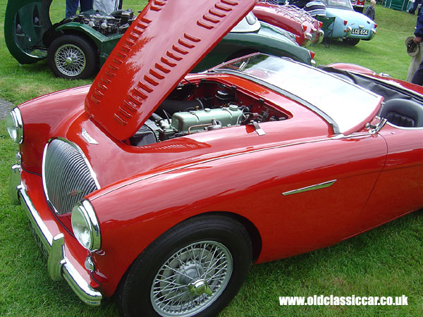 Austin-Healey 100 that I saw at Tatton in June 05.