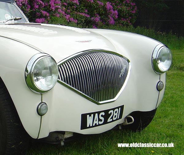 Austin-Healey 100M that I saw at Tatton in June 05.