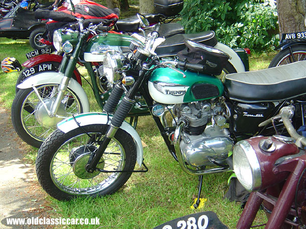 Triumph Tiger 100 photo