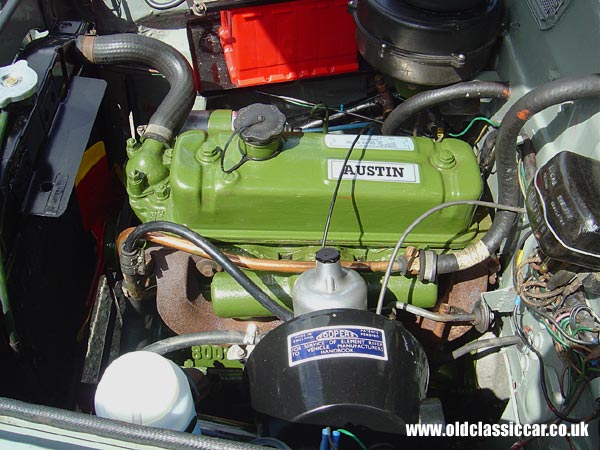 Austin A55 Cambridge Mk1 photo