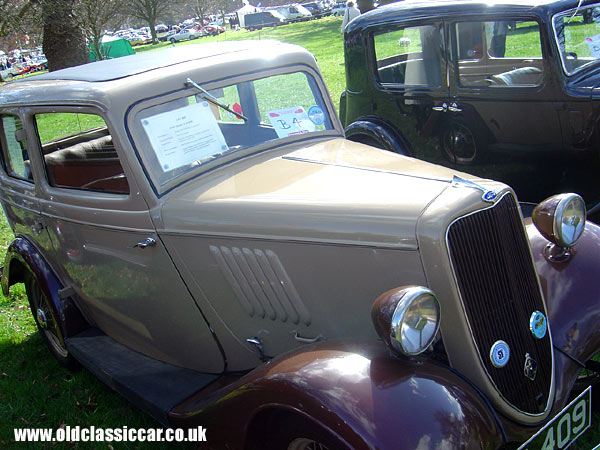 Ford Model Y picture