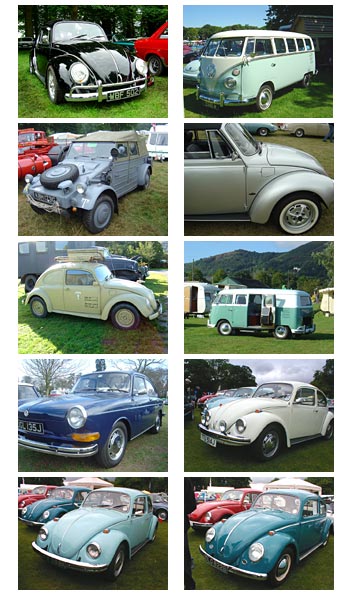 VW cars and camper vans