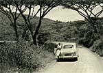 Rear view of the Austin parked at the roadside