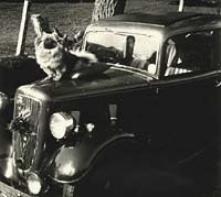 Another Austin 7 Ruby