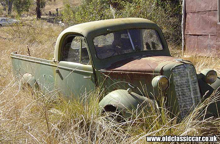 Ute in a field