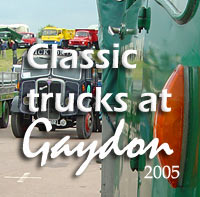 A line-up of classic lorries