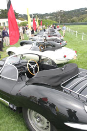 Line-up of XKSS Jaguars
