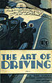 Book about learning how to drive