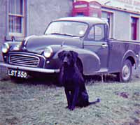 Morris pickup