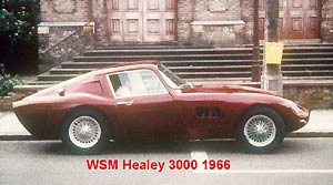 WSM Healey 3000