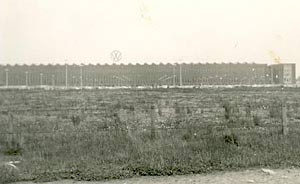VW factory in 1960