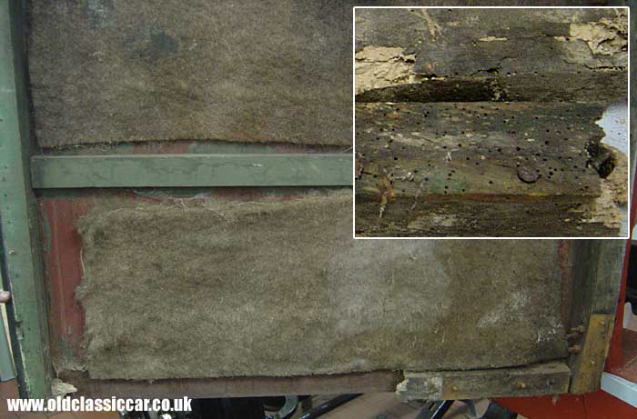 Woodworm in the front door!