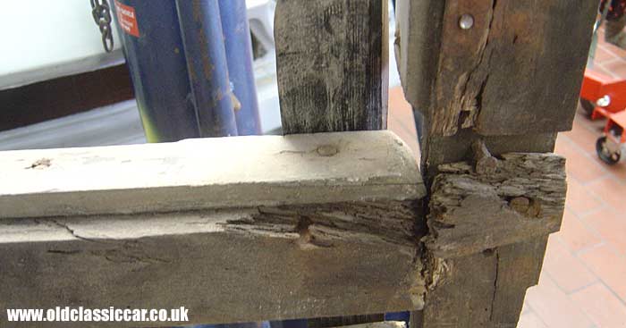 Rotten wood